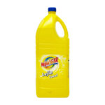 MIHOGAR LEJIA 5 Litros APTA